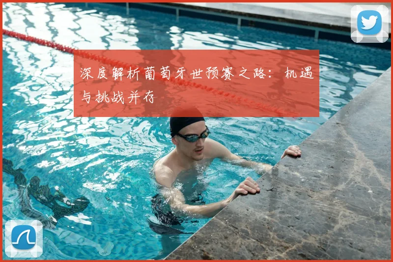 深度解析葡萄牙世预赛之路：机遇与挑战并存