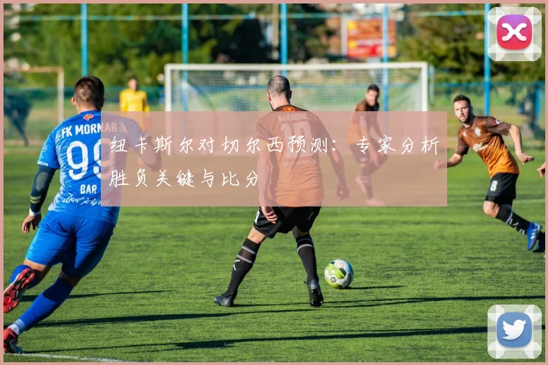纽卡斯尔对切尔西预测：专家分析胜负关键与比分
