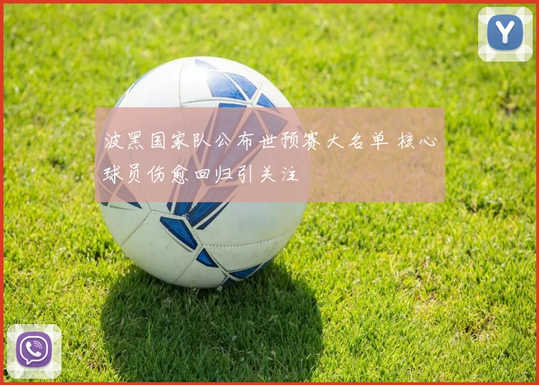 波黑国家队公布世预赛大名单 核心球员伤愈回归引关注