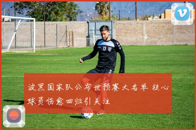 波黑国家队公布世预赛大名单 核心球员伤愈回归引关注